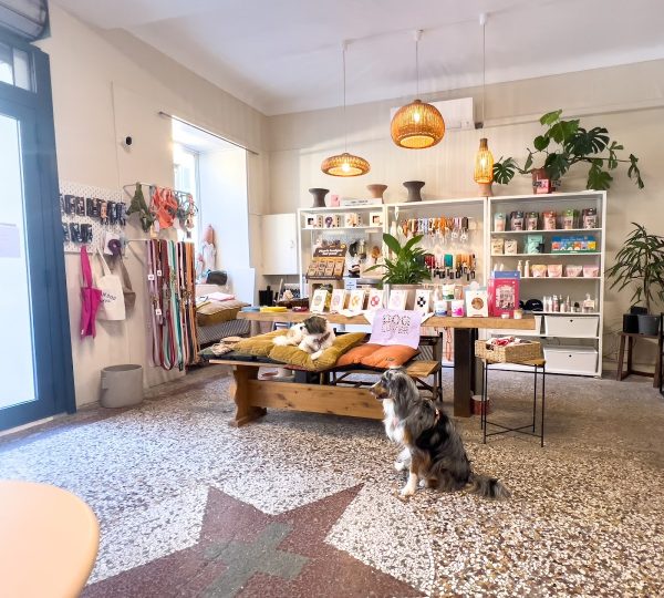 Full Bloom Café